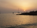 DSC00981